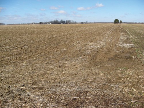 Property photo 32 - 127 Acres Offered in 4 Tracts